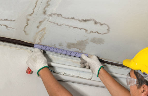 Reliable Burst Pipe Cleanup contractor in Arcadia, MI by Water Damage Irwin